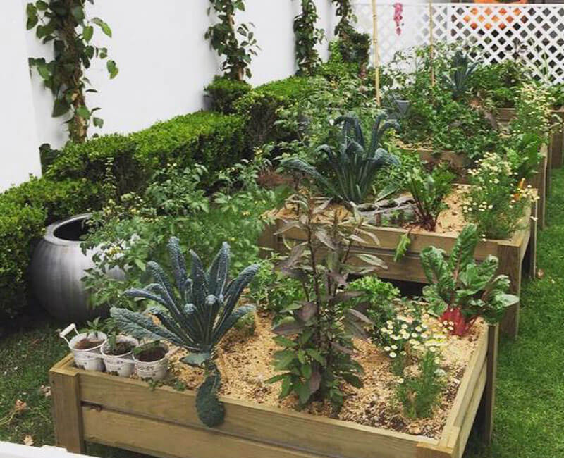 huerto, cdmx, en casa