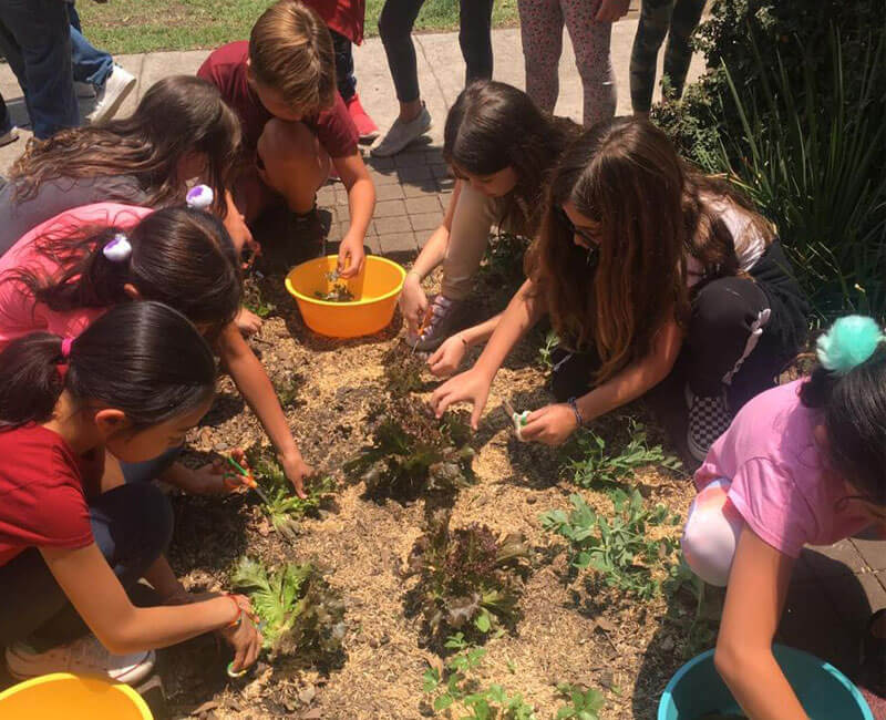 huerto, escolar, cdmx