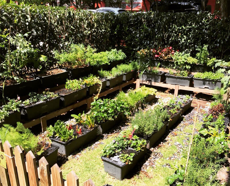 instalacion, huerto, urbano, cessa, universidad