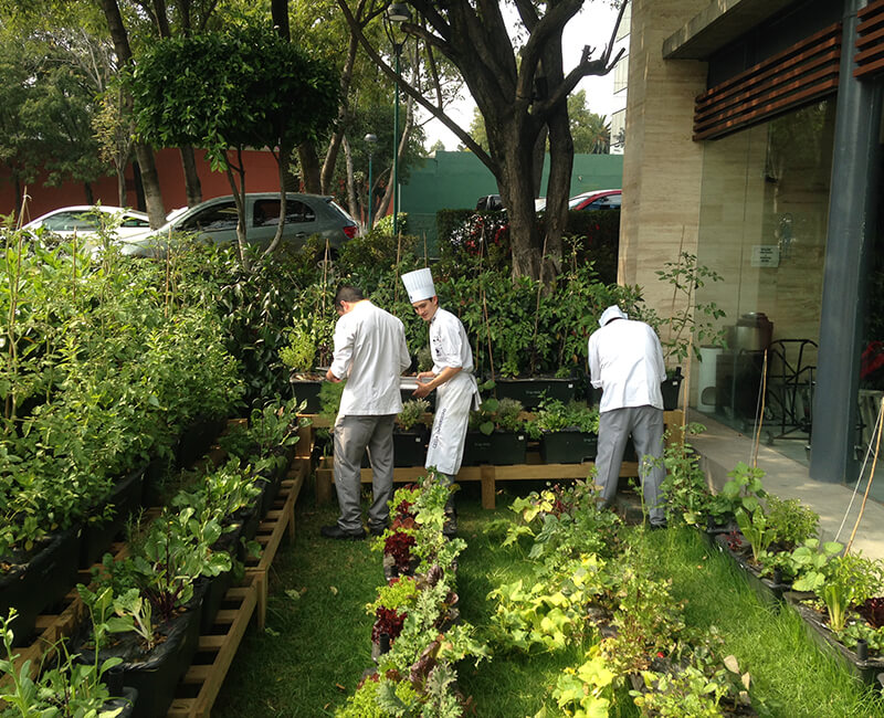 instalacion, huerto, urbano, cessa, universidad