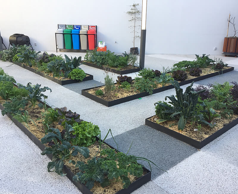 instalacion, huerto, urbano, escuela, israelita