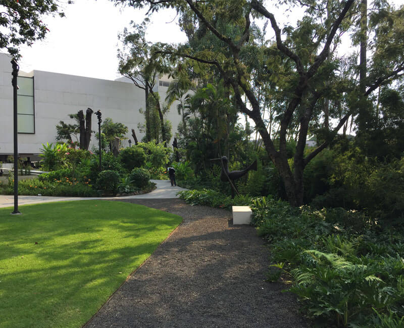 flor y terra, paisajismo, arte