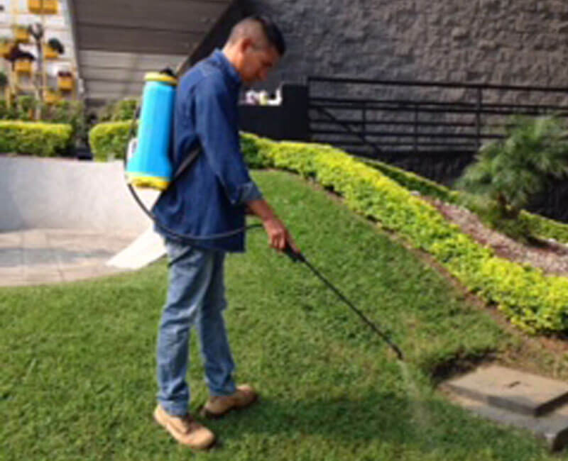 control, plaga, cdmx 