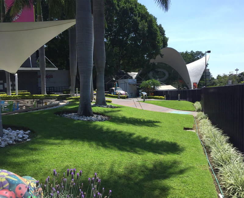 paisajismo, arquitectura, cuernavaca