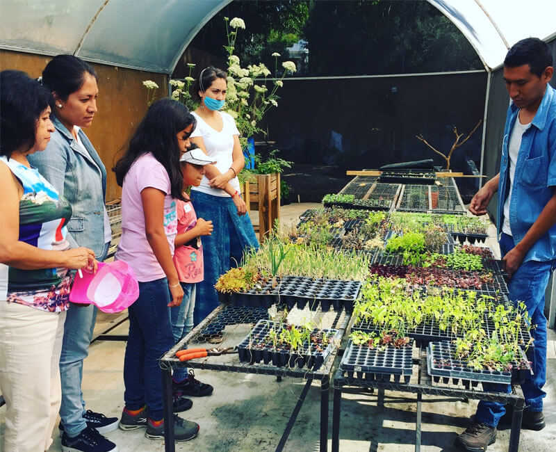 taller, huerto, urbano, cdmx