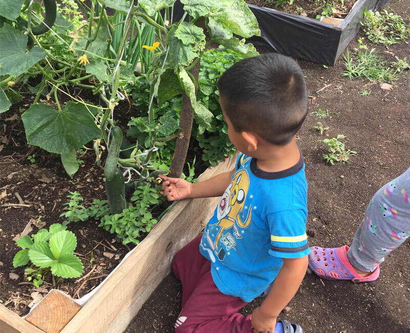 curso, instalacion, huerto