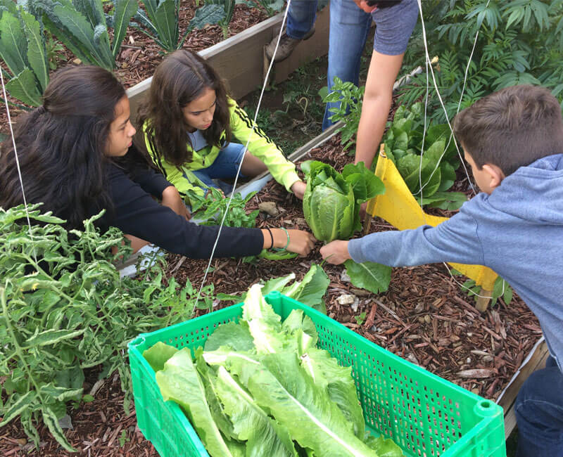 taller, instalacion, huerto, casa