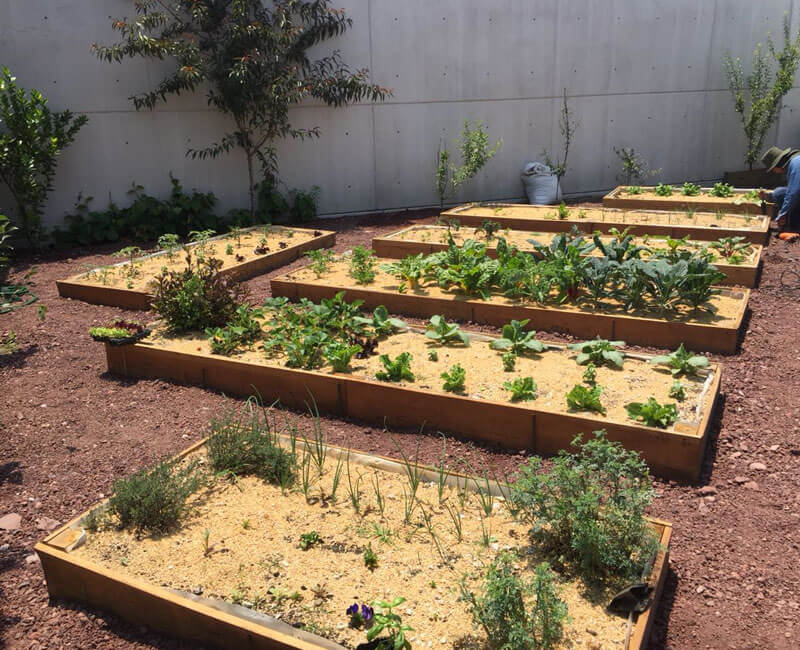 taller, instalacion, huerto, urbano