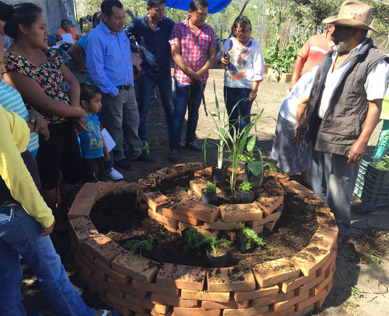 taller, comunutario, espiral, hierbas